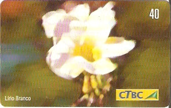 CTBC-T-0792 - Flores do Cerrado - 7/8
